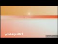 Polsat Produkcja 2023 W 2006 2019