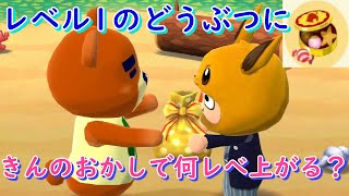 【ポケ森】レベル1のどうぶつにきんのおかしをあげると何レべ上がるのか検証してみた！