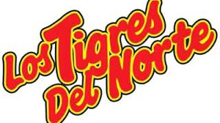 Los tigres del Norte :  rifare mi suerte