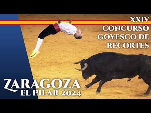 🏆 ZARAGOZA 2024 · 💥 RECORTADORES CON TOROS BRAVOS FERIA DEL PILAR 2024