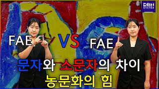 Deaf와 deaf 대문자와 소문자의 차이, 농문화의 힘