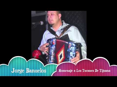 Me Robaste El Corazon - Homenaje a Los Tucanes De Tijuana - Jorge Banuelos