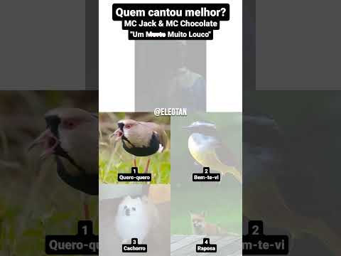 MC Jack & MC Chocolate - "Um Morto Muito Louco". Quem cantou melhor?