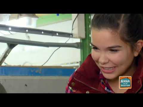 Jerry B. Anderson Synchro - ANNA AND THE TALKING SNAKES