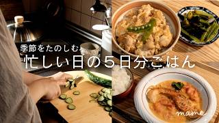 春から初夏へ｜忙しい日でも、旬をたのしむ5日分ごはん