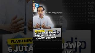 6 Juta Data NPWP Termasuk Milik Jokowi hingga Sri Mulyani Dibobol Bjorka, DJP Lakukan Pendalaman