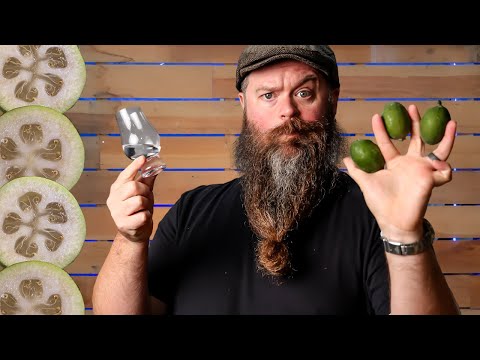 Battle Of The Feijoa Vodka's