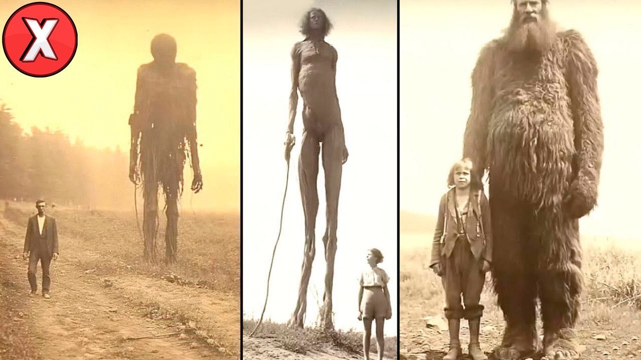 12 MAIORES E MAIS PESADAS PESSOAS QUE JÁ EXISTIRAM