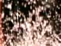 MIEDO-MARIA DANIELA Y SU SONIDO LASSER ...