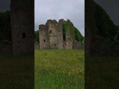 Spring Watch BBC location, Crom Castle, NT, N. Ireland #springwatch #bbc #crom