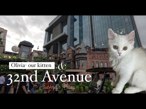 Saturday night out & adopting a kitten (Part 1) || Subhra's Vlog