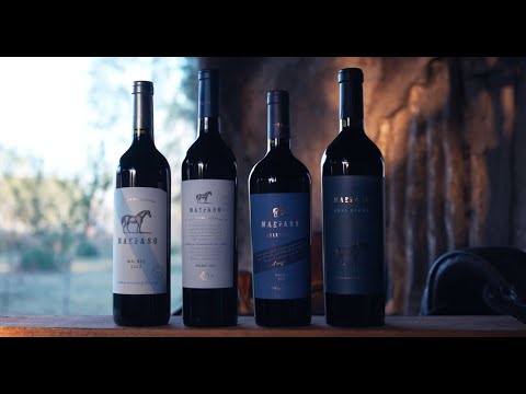 MARRASO WINES | The Wild Horse of the Andes Mountains