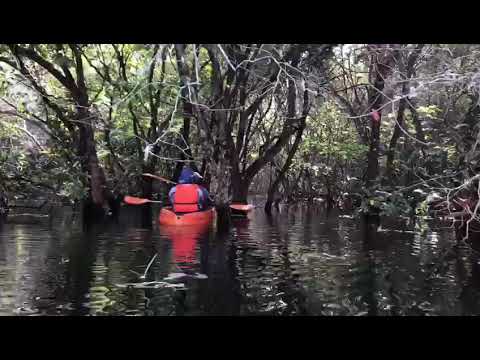 thattekad bird sanctuary expedition 🎧 | Best kayaking experience in kerala | kerala forest