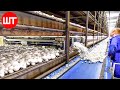How Mushrooms Are Grown Processed Modern Mushrooms Farming Technology Food Factory