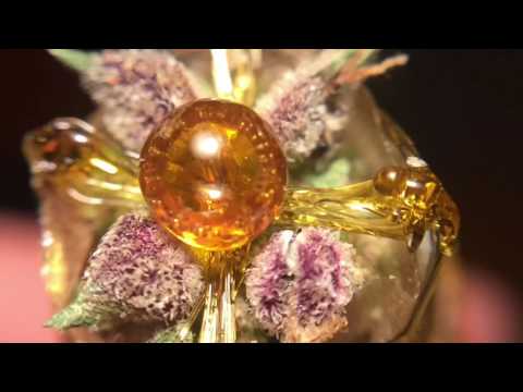 Twaxer Twax 🐌🐢💦