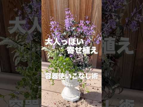 菜園用のコンテナの作り方 腐らない木製の固体構造パレットを選ぶ