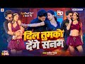 Video दिल तुमको देंगे सनम Punit Pyare Dil Tumko Denge Sanam Disha Ra