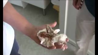 FRIBILJETT MOT HIMLEN