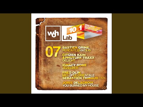 Melopée orientale (Sebastien Thibaud Remix)