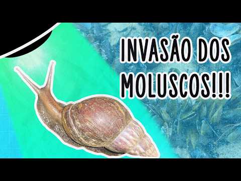 NOSSO PAÍS ESTÁ SENDO INVADIDO POR MOLUSCOS EXÓTICOS | ABDUÇÃO
