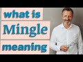 Mingle | Definition of mingle