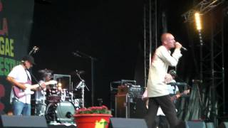 Kapten Röd - Galenskap, Uppsala Reggae Festival 2011