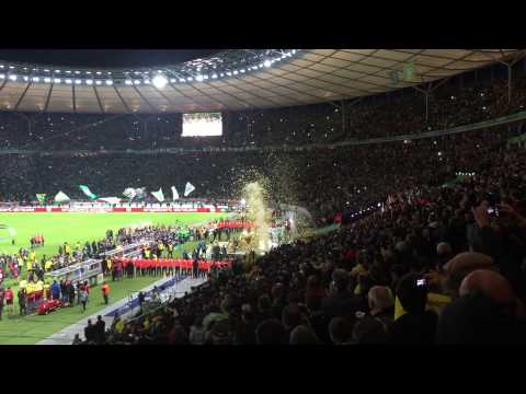 DFB-Pokalsieger 2015 - VfL Wolfsburg