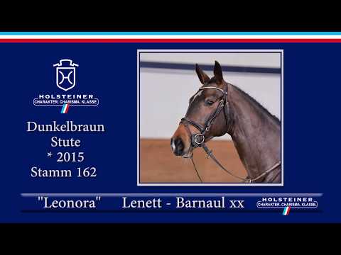 Holsteiner Frühjahrsauktion 2020 - Nr. 120 Leonora v. Lenett - Barnaul xx