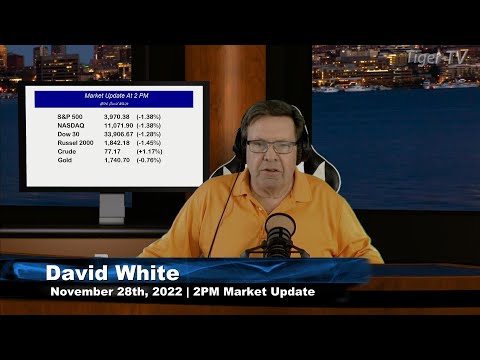 November 28th 2PM ET Market Update on TFNN - 2022