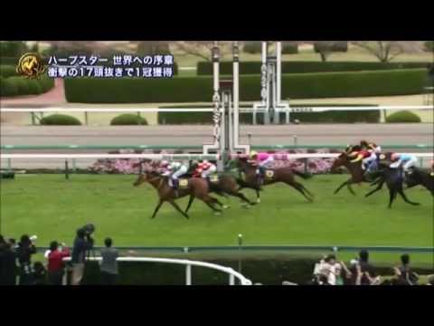 2014 桜花賞 ＧⅠ OKA SHO JAPANESE 1000 GUINEAS G1