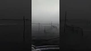Ссылка