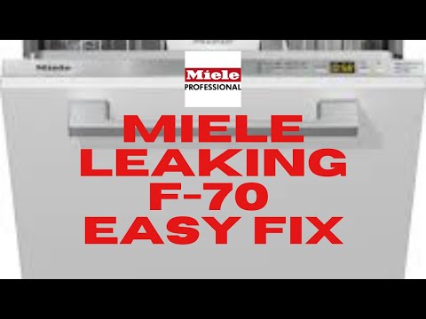 ✨ Miele Geschirrspüler F-70 – Undicht – DIY-Reparatur ✨