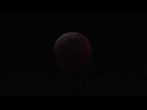 Super Blood Wolf Moon Time lapse