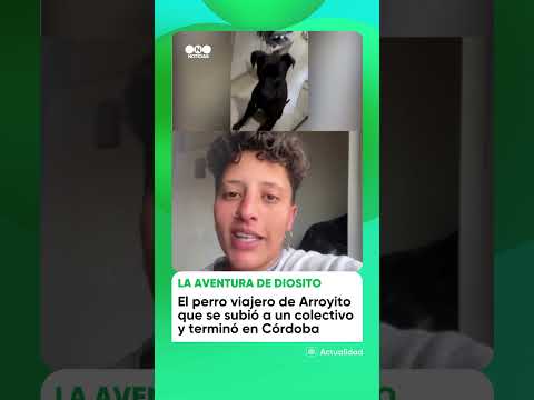 ¡VIAJÓ SIN PASAJE! 🐶🚌