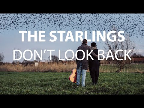 The Starlings ft. Starlings - Don't look Back