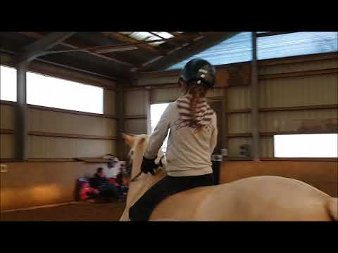 Malu (8) und Duebaree - ohne Sattel und Uups am 16.02.2018