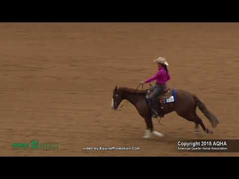 2018 AQHA Select Reining
