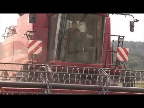 TraktorTV Folge 26 - PS-starke Ernte mit Case IH Mähdreschern