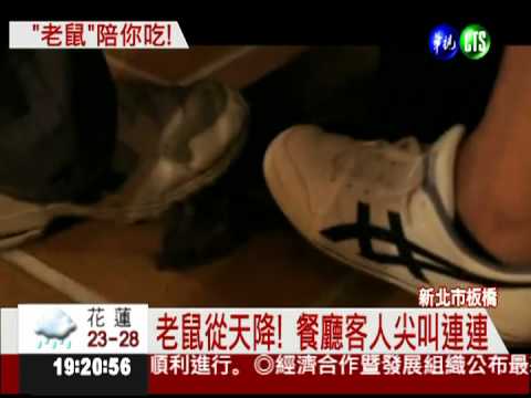 吃麵驚見鼠輩 顧客驚叫逃命!
