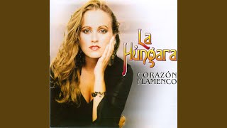 Las Noches Que Tú No Estás Lyrics English Translation