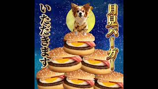 テンプレート3連発🥰
