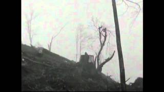 Unloved and Unclaimed - Mimi Roman