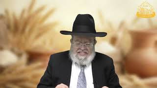 דף היומי בחצי שעה – מסכת מנחות דף י”א
