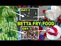 BETTA FRY FIRST FOOD | BETTA FISH BREEDING | GUPPY FISH BREEDING | GOLDFISH BREEDING