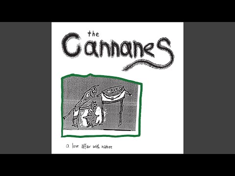 Seatbelt - The Cannanes