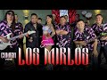 Los Mirlos & Cumbia Viva │ Session #31 (Cumbia Viva)