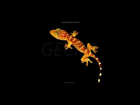 Oliver Heldens X Becky Hill - Gecko(Overdrive)(Jay Ossy Bootleg)(FREE DOWNLOAD)