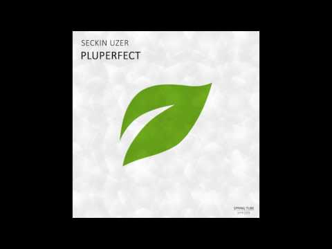 Seckin Uzer - Sunflowers (Original Mix)