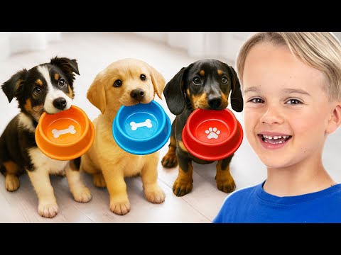 Niños cuidan animales en el refugio