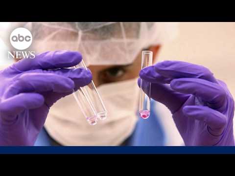 Breakthrough DNA technology identifies 9|11 victim's remains nearly 25-years later